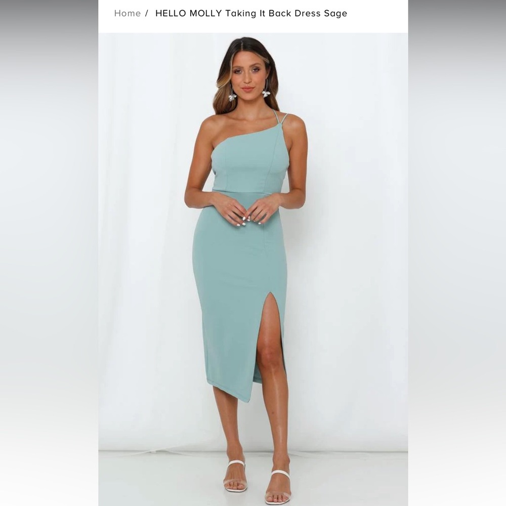 Never been worn sage Hello Molly dress NWT